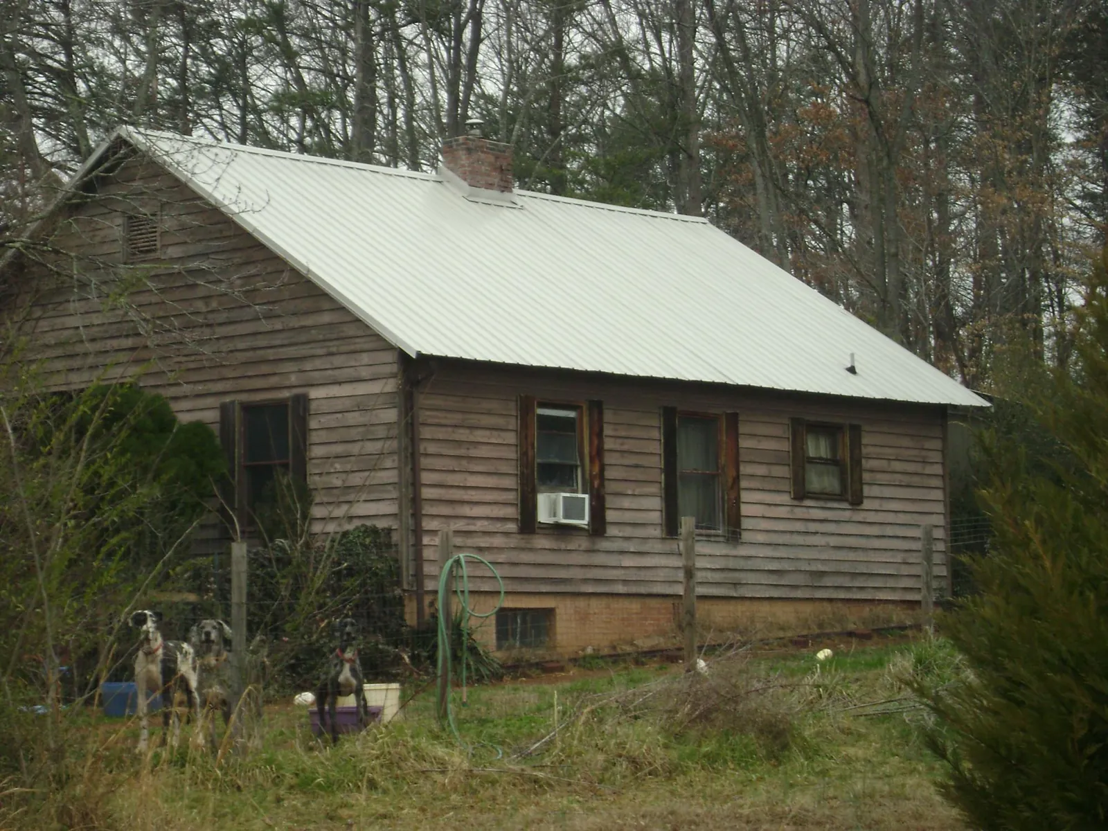 White metal roof on an old wood sided farmhouse, from a Metal Roof Installation job in Beemer